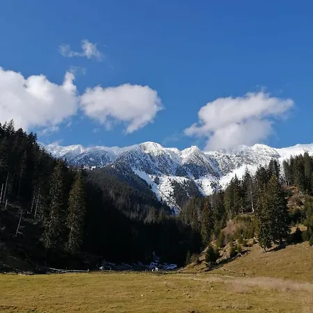 克莱诺旅馆 3* Şirnea