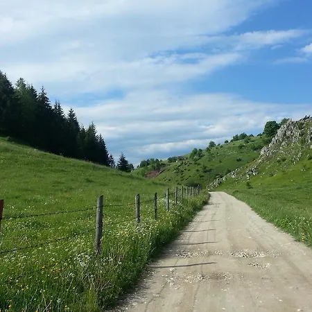 克莱诺旅馆 Şirnea